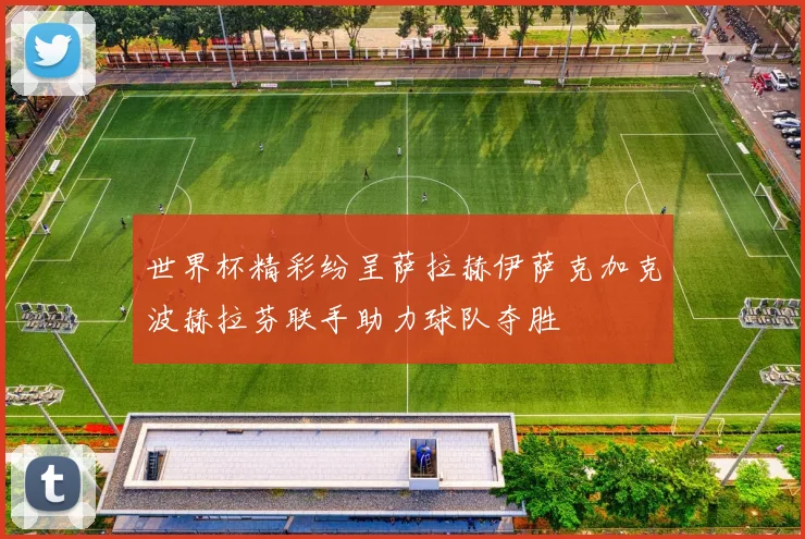 世界杯精彩纷呈萨拉赫伊萨克加克波赫拉芬联手助力球队夺胜