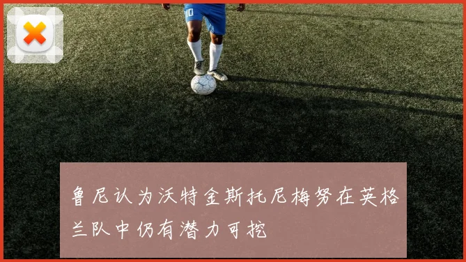 鲁尼认为沃特金斯托尼梅努在英格兰队中仍有潜力可挖