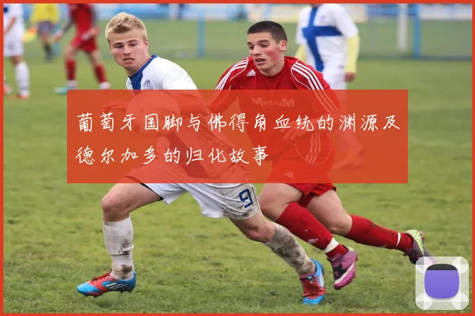 葡萄牙国脚与佛得角血统的渊源及德尔加多的归化故事